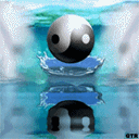 13827.gif
