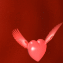 11514.gif