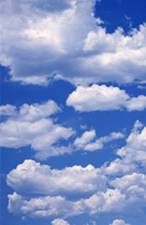 11721.gif