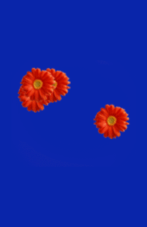 11722.gif