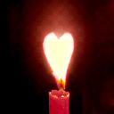 11783.gif